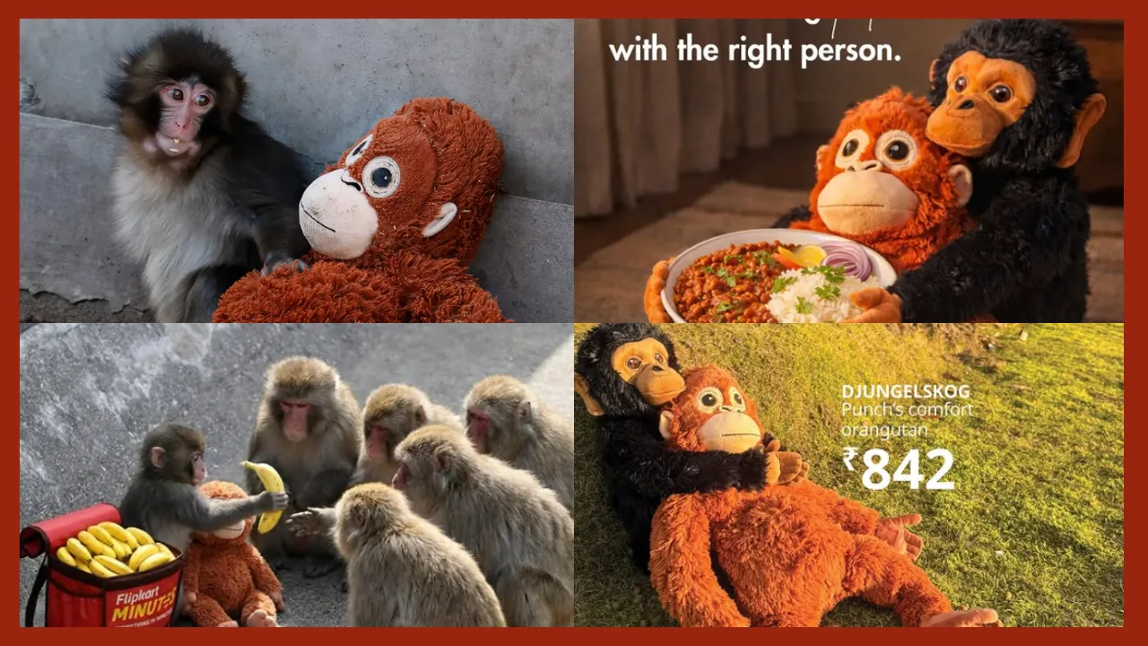 fi - 2026-02-23T183525.360