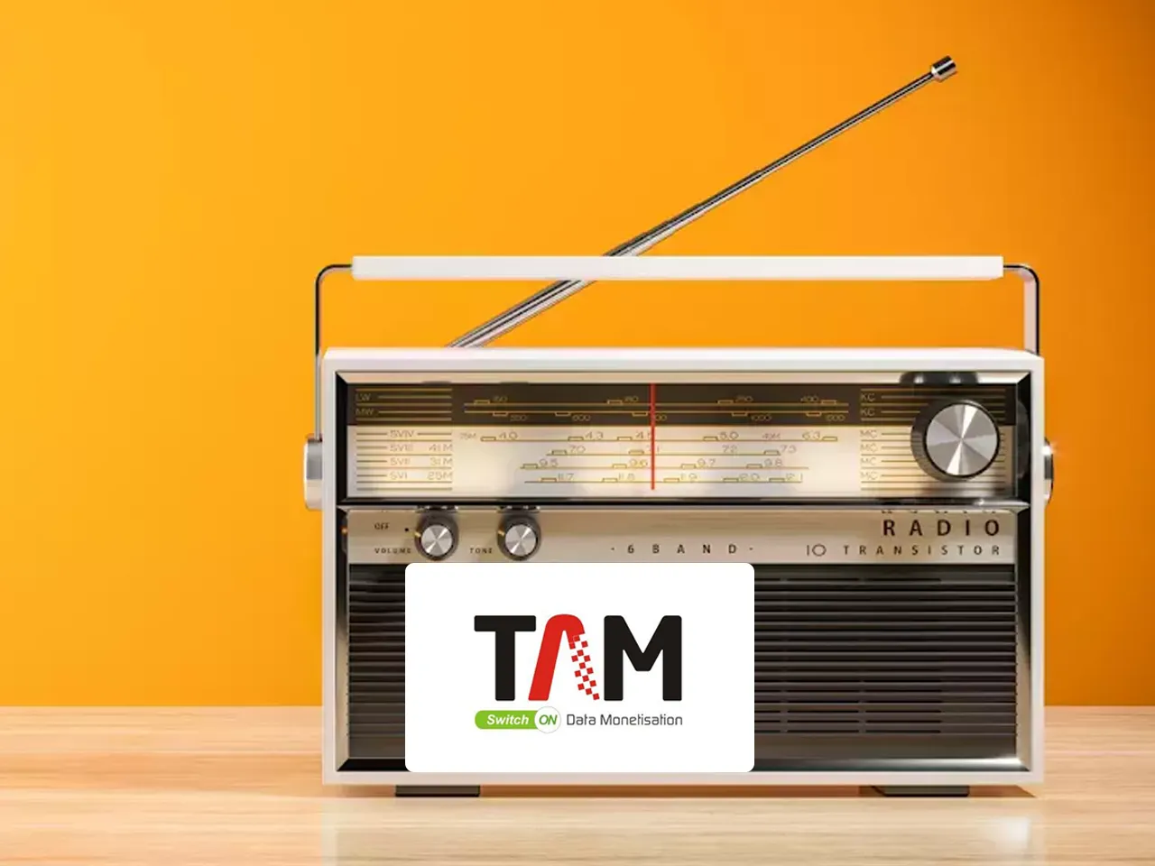 TAM AdEx Report