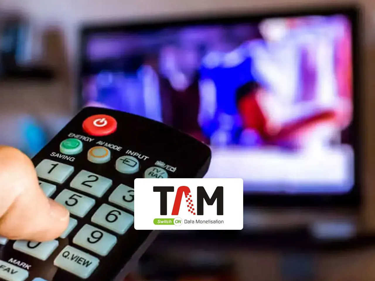 TAM AdEx report