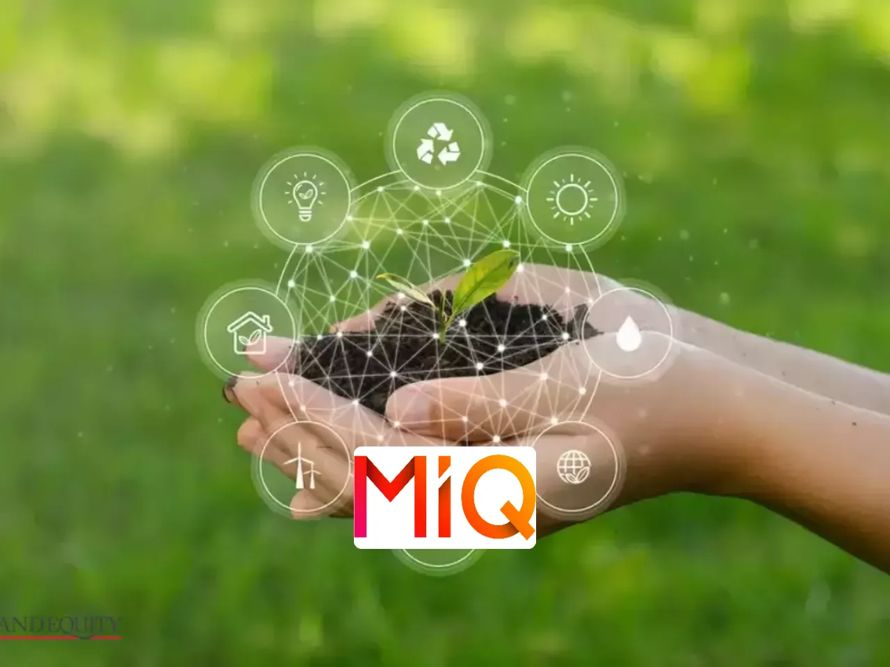 MiQ
