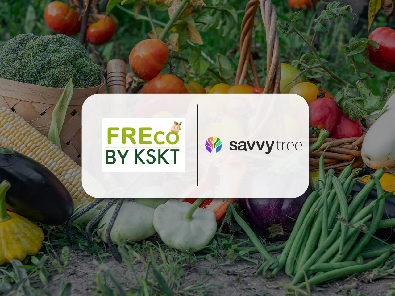 freco by kskt