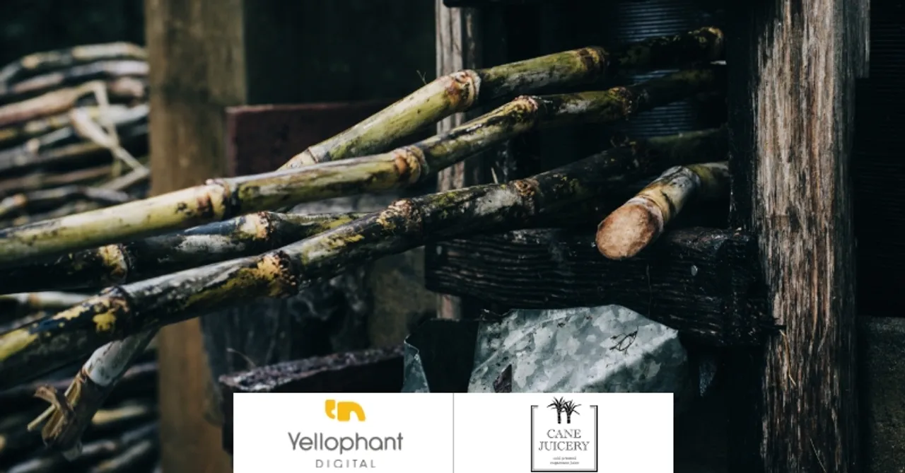 Yellophant Digital