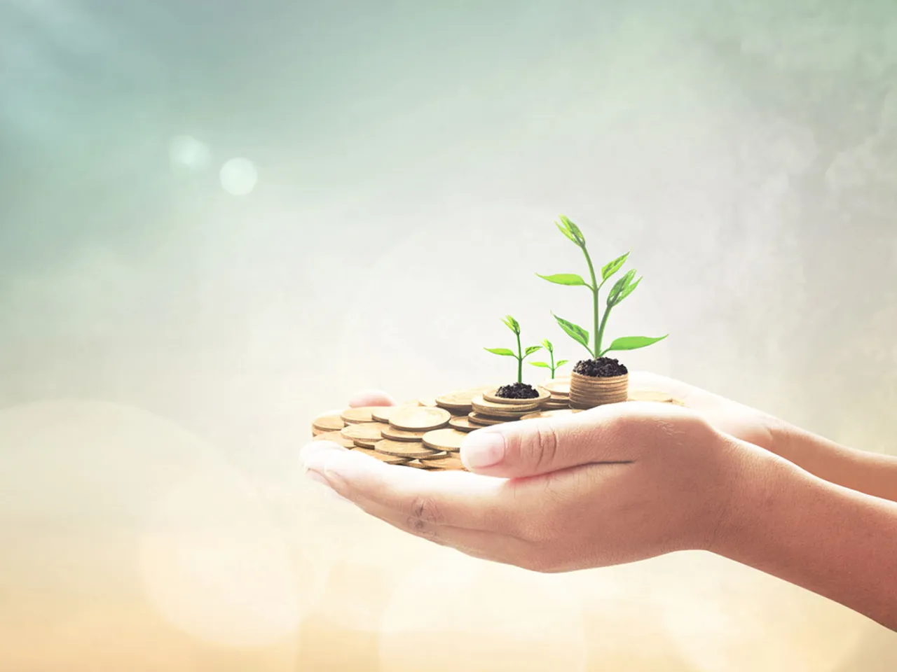hootsuite Social media ROI