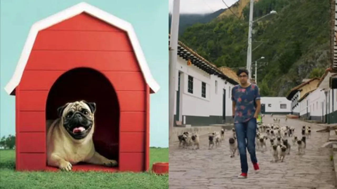 Vodafone Pug Campaign
