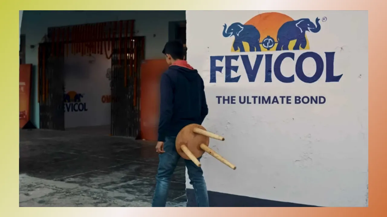 Fevicol