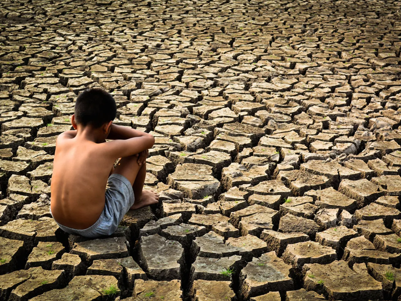 [Case Study] #ICareISupport leverages cricket craze to help drought stricken farmers