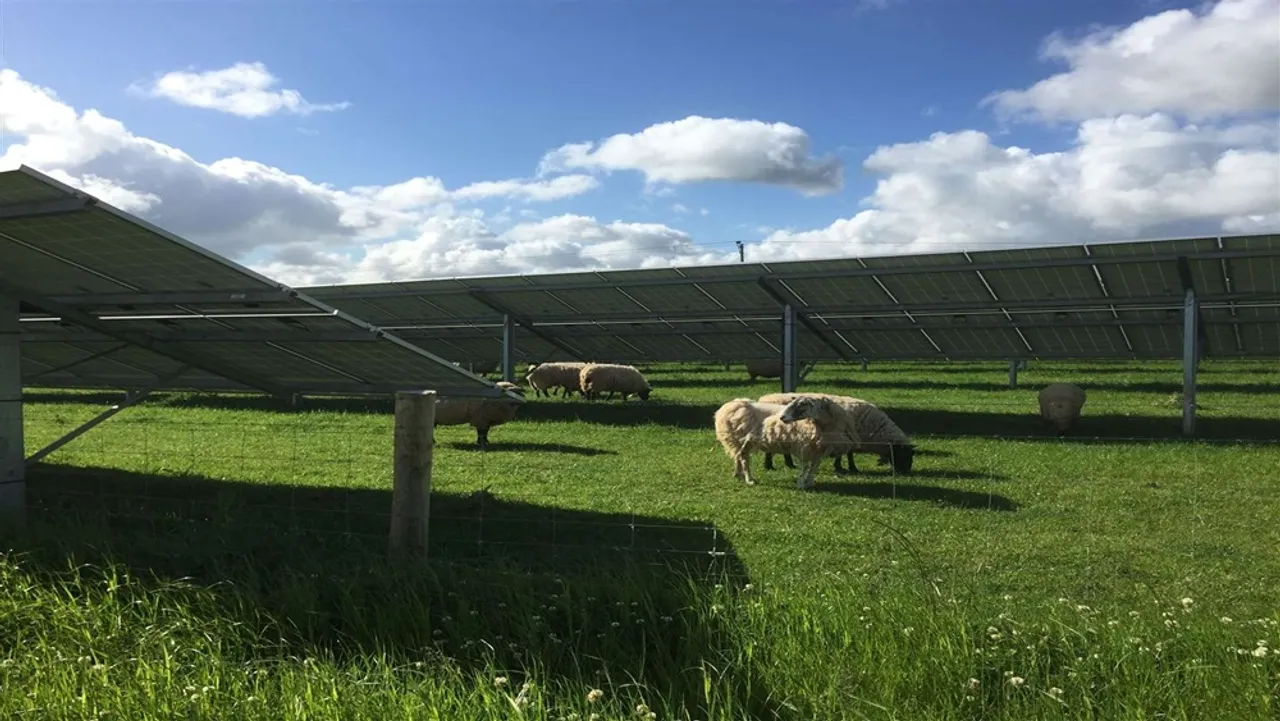 Skye Green Solar Farm received planning approval to be developed on 56 acres between Feering and Coggeshall in Essex. 