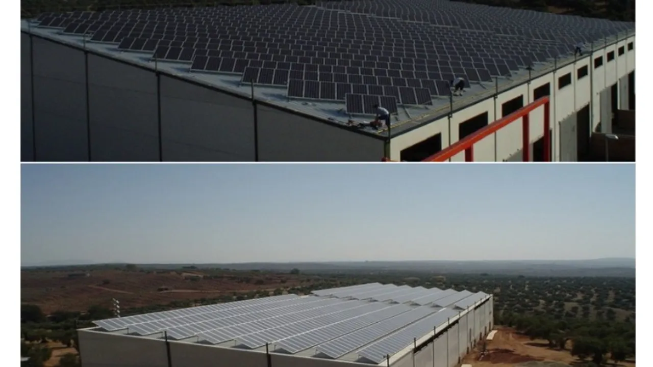 Three agro-industrial PV systems showed PID-related energy losses of 67.58%, 47.22%, and 32.06% over ten years. 