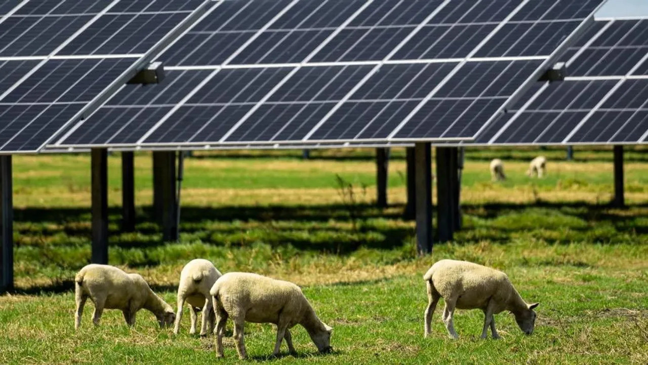 Ethical Power has taken charge of engineering, procurement, and construction for the Clandeboye solar facility. 
