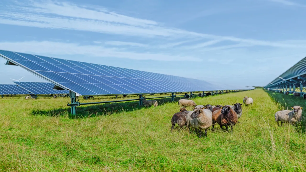 Supply for universities in Ulm, Mannheim, Hohenheim and Constance has been secured from January 2026 to December 2028 under the solar agreement. Image Source: Uniper
