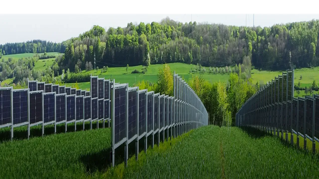 Field trials of vertical HJT systems have shown consistent performance gains in yield, land-use efficiency, and return on investment.