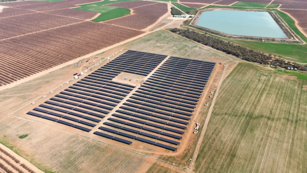 Risen Energy’s HJT Hyper-ion modules have enabled 234 million kWh annual output from the 270 MW Songtao Changxing agri-PV project.