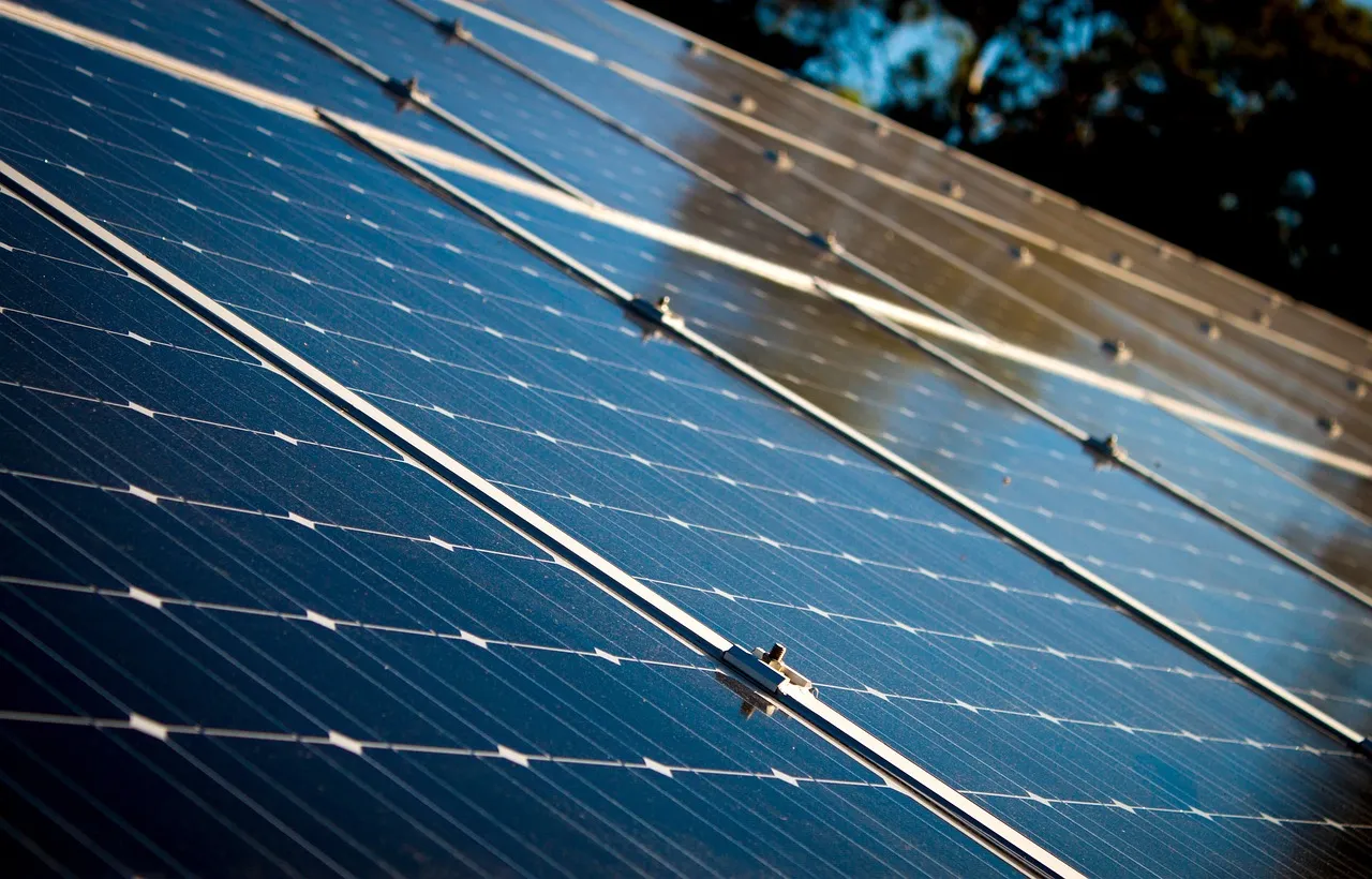 JSW Neo Energy: Vikram Solar to supply 1 GW modules in India