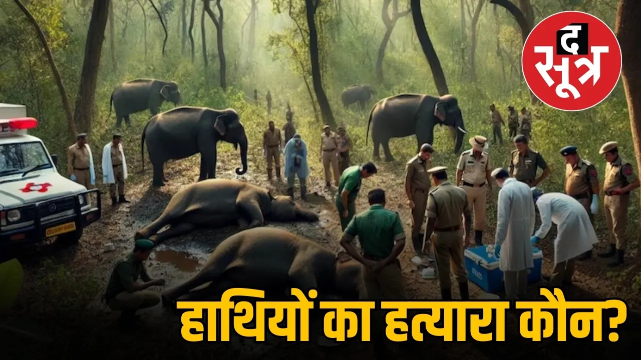हाथियों का हत्यारा कौन ?