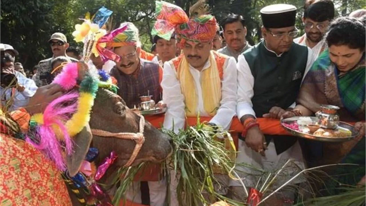सीएम मोहन ोयादव पूजा                     