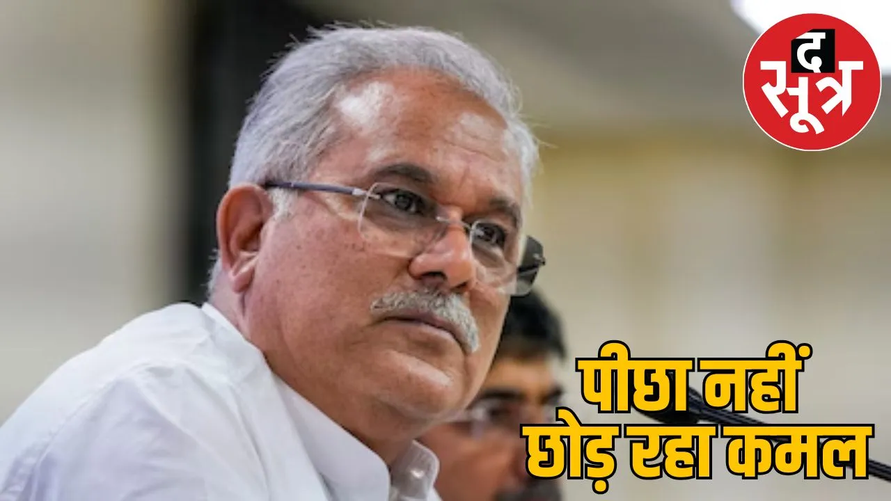 Bhupesh Baghel in charge Vidarbha BJP won there