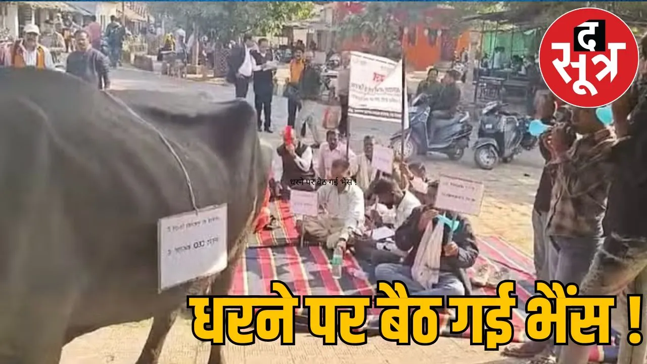 buffalo protest panchayat