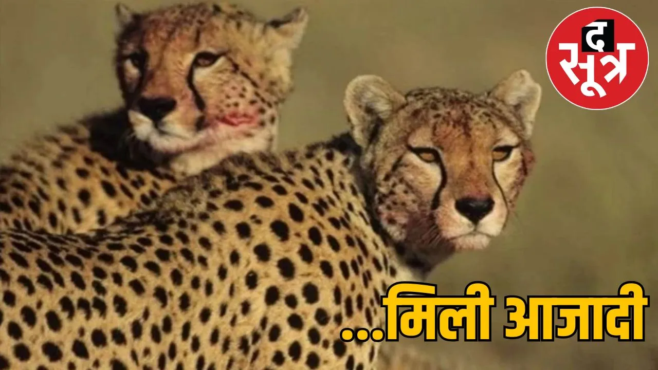 cheeta agni  vaayu 