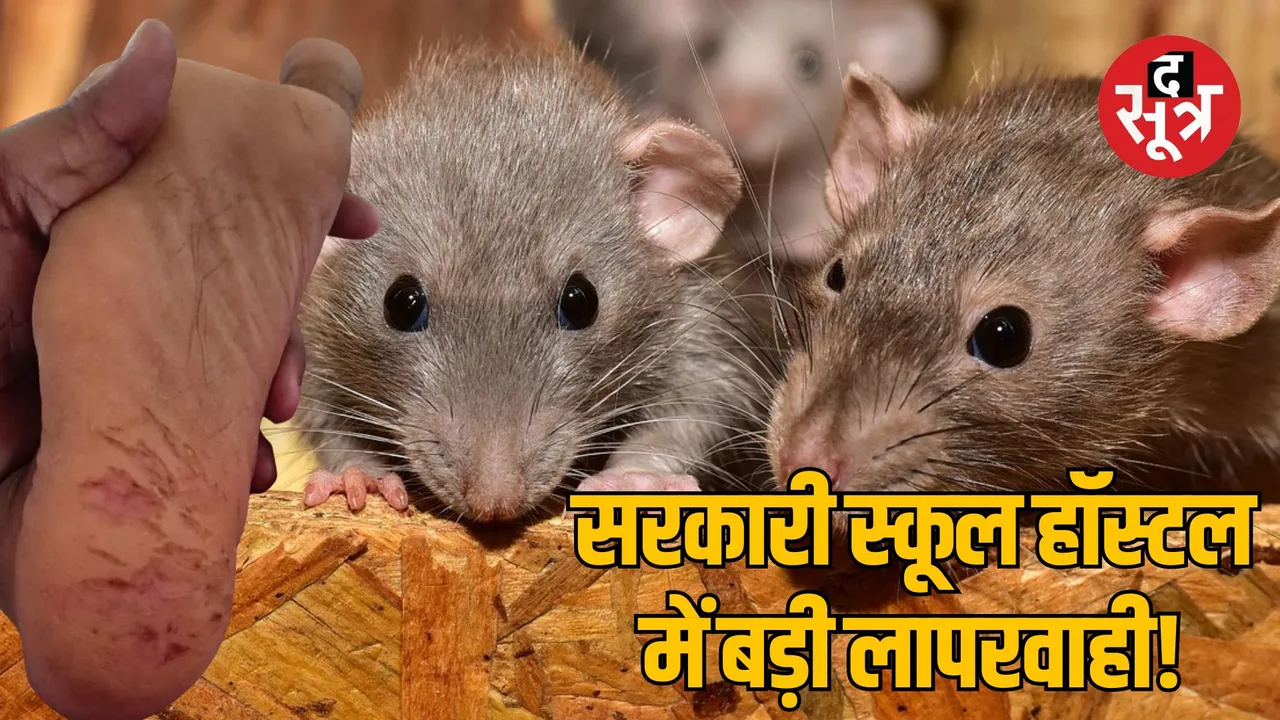 khammam-telangana-rat-bite-10th-student-paralysis