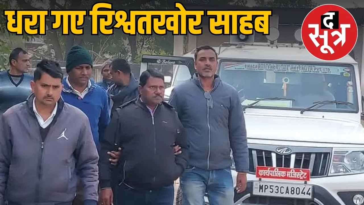 sidhi naib tehsildar