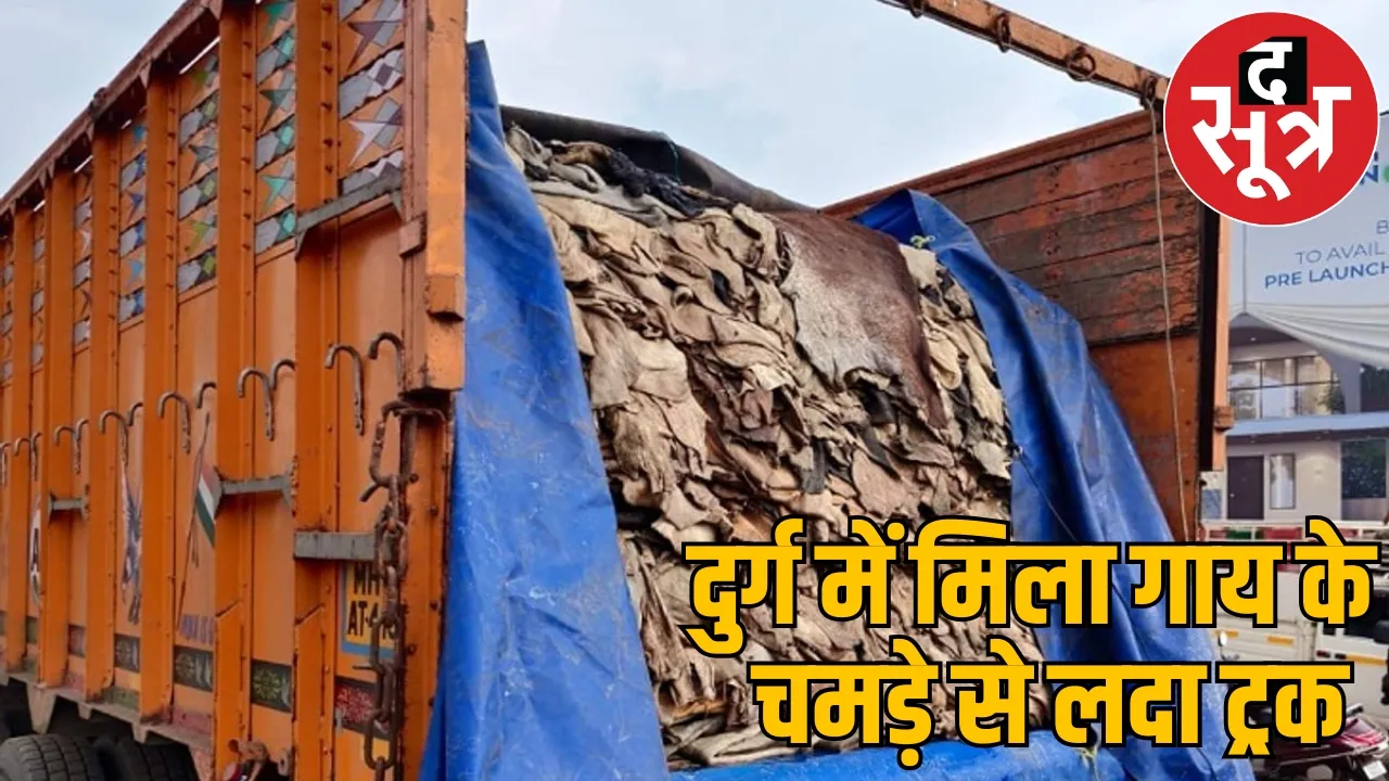 truck loaded with cow hides cow protectors thrashed driver durg