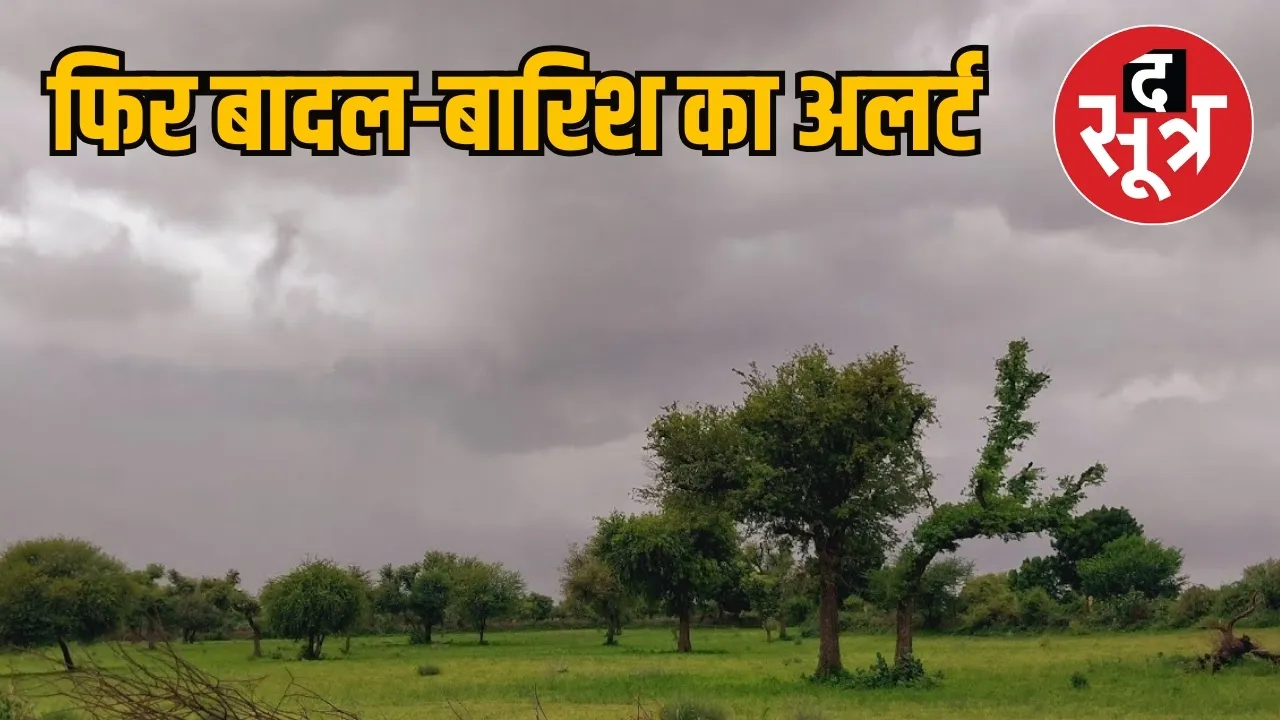 MP Weather Report