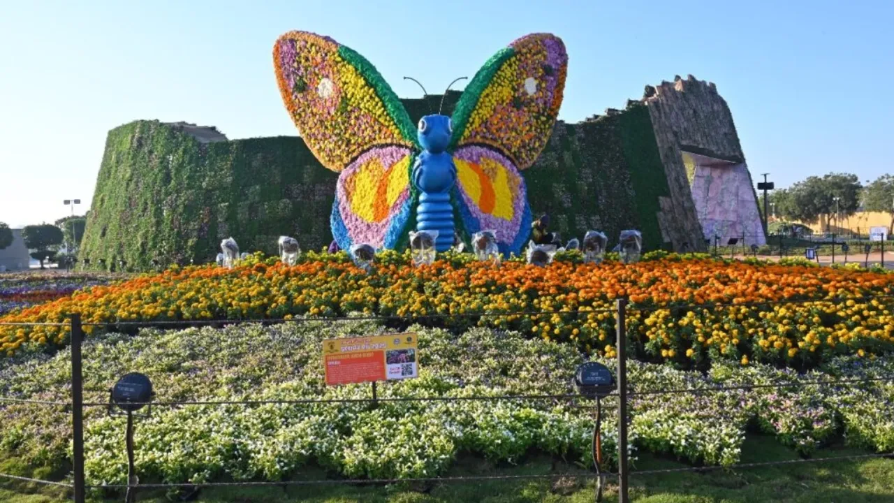 flower5