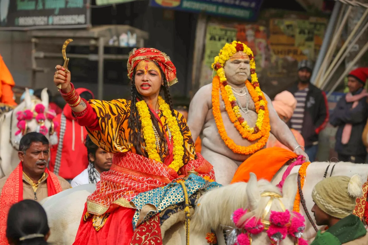 Prayagraj Maha Kumbh 2025 Sadhu