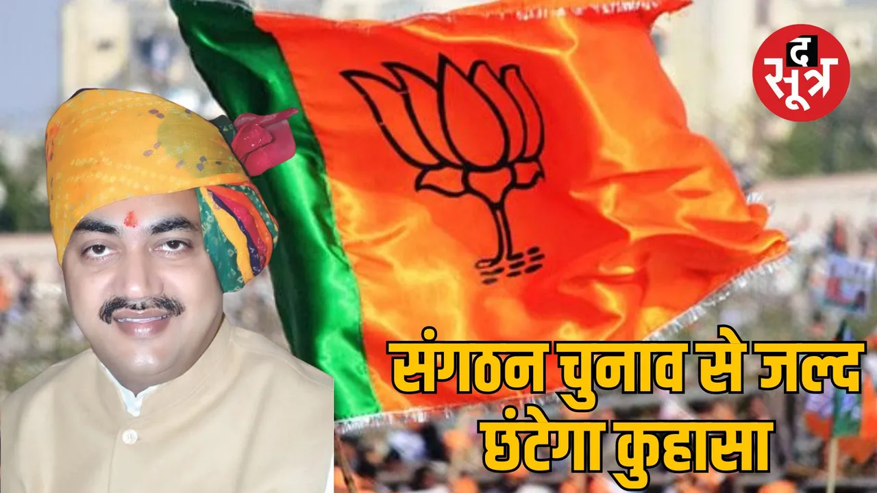 madhya pradesh bjp organization elections 