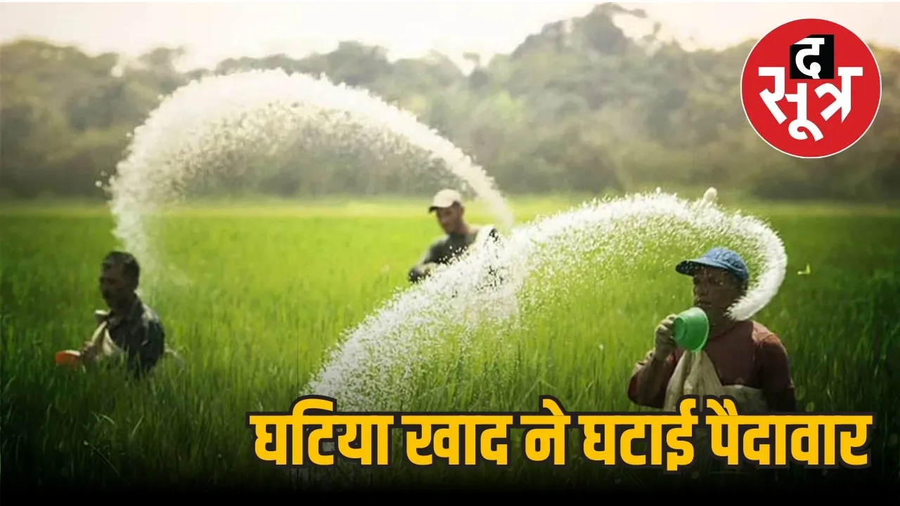 खाद डालते किसान
