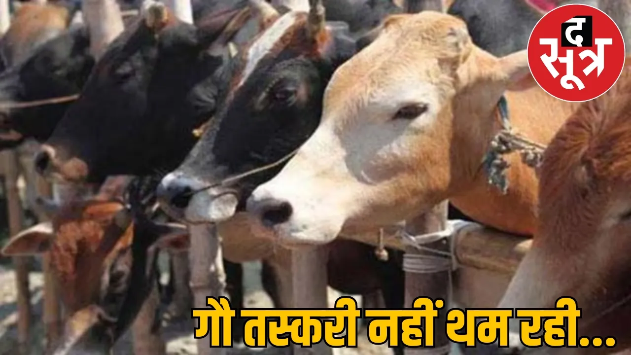 beef found again in Chhattisgarh 60 year old man involved in smuggling