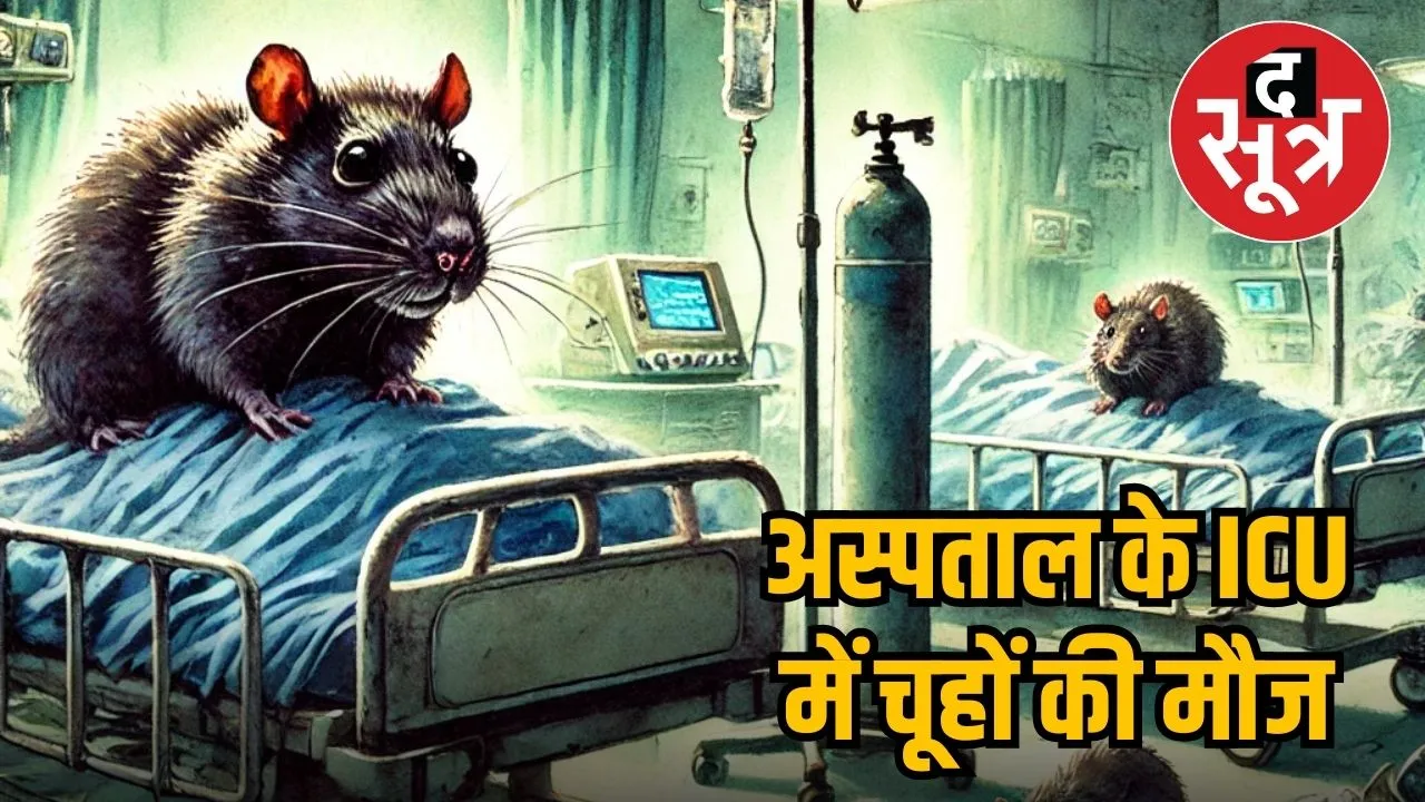 bhind-district-hospital-icu-rat-infestation