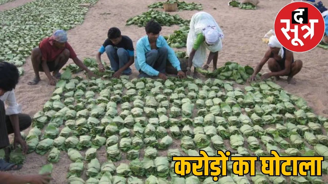 Tendu leaves bonus scam more than 6 crores Sukma DFO suspended