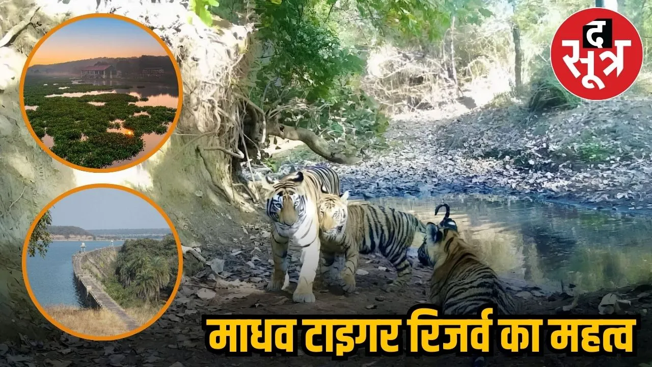 tiger reserve