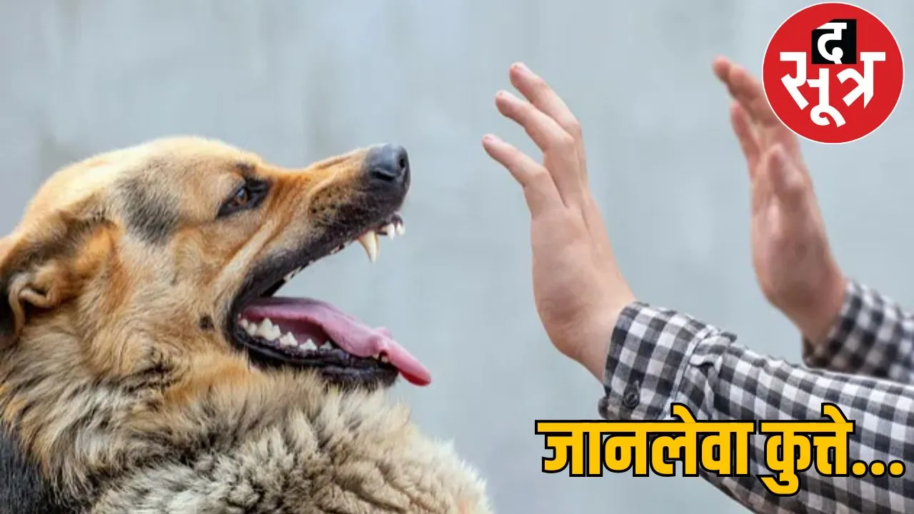 Neighbour dog bites constable son Raipur the sootr