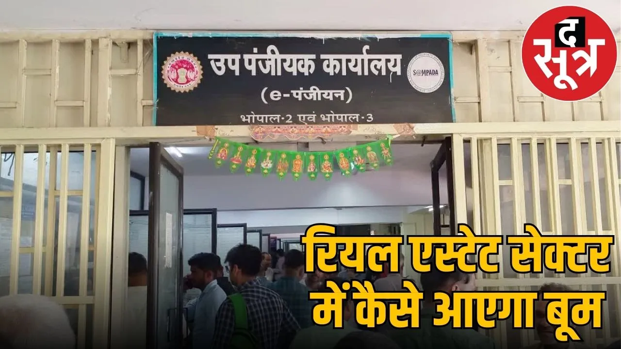 real sector mp
