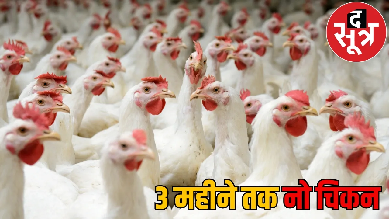 Chicken will not be sold 90 days know big reason