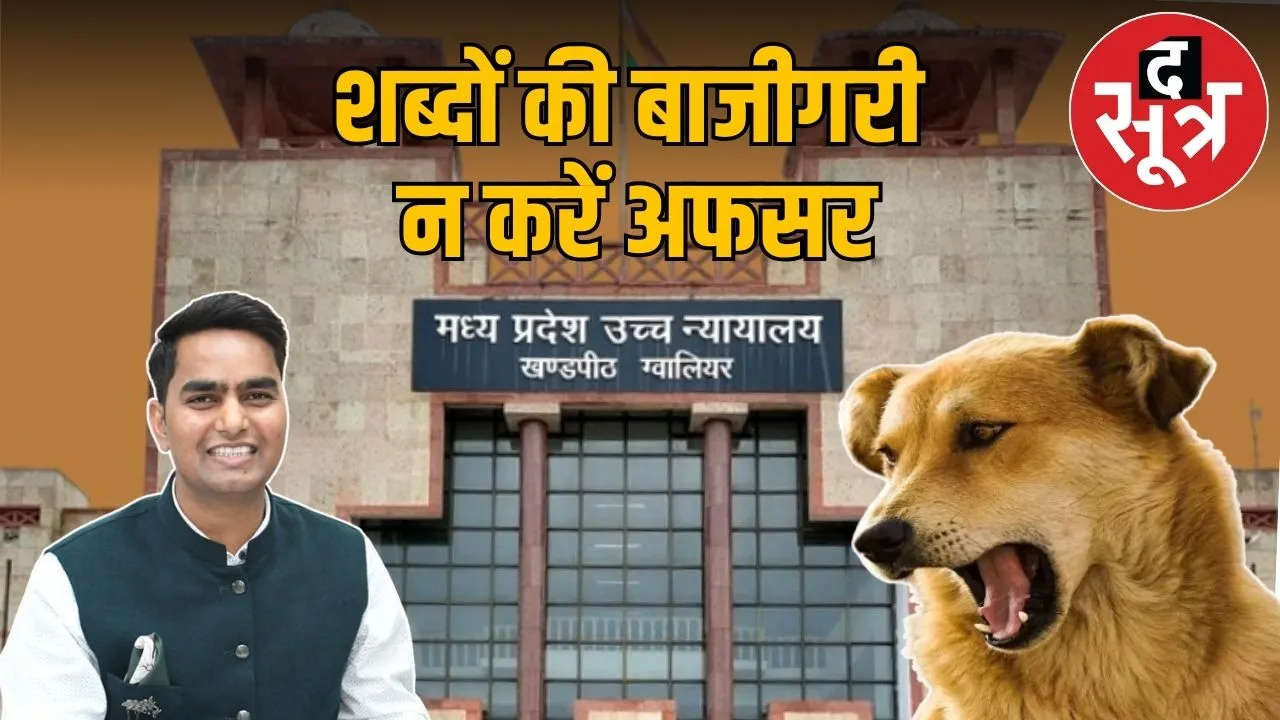 gwalior high court dog bites