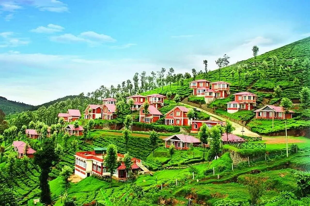 ooty