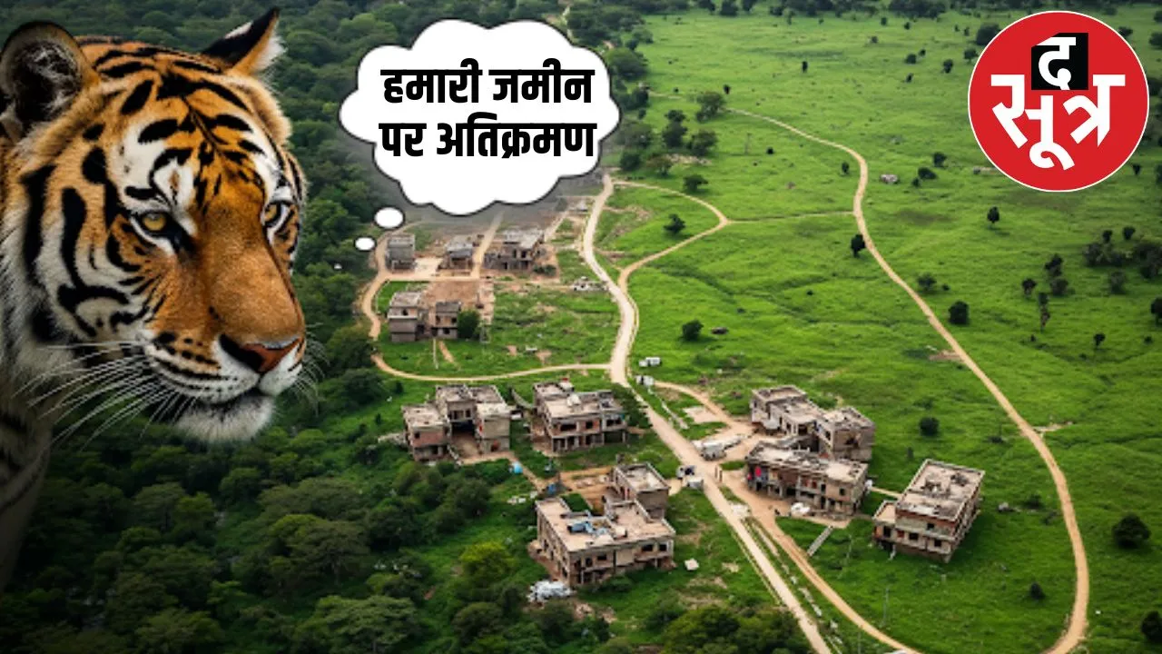 bandhavgarh