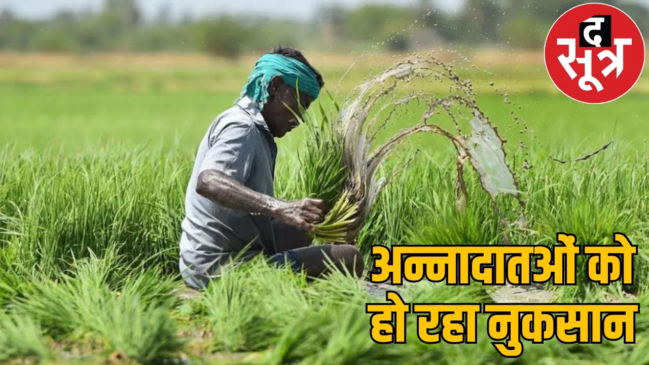 Farmers not getting benefit PM crop insurance scheme the sootr