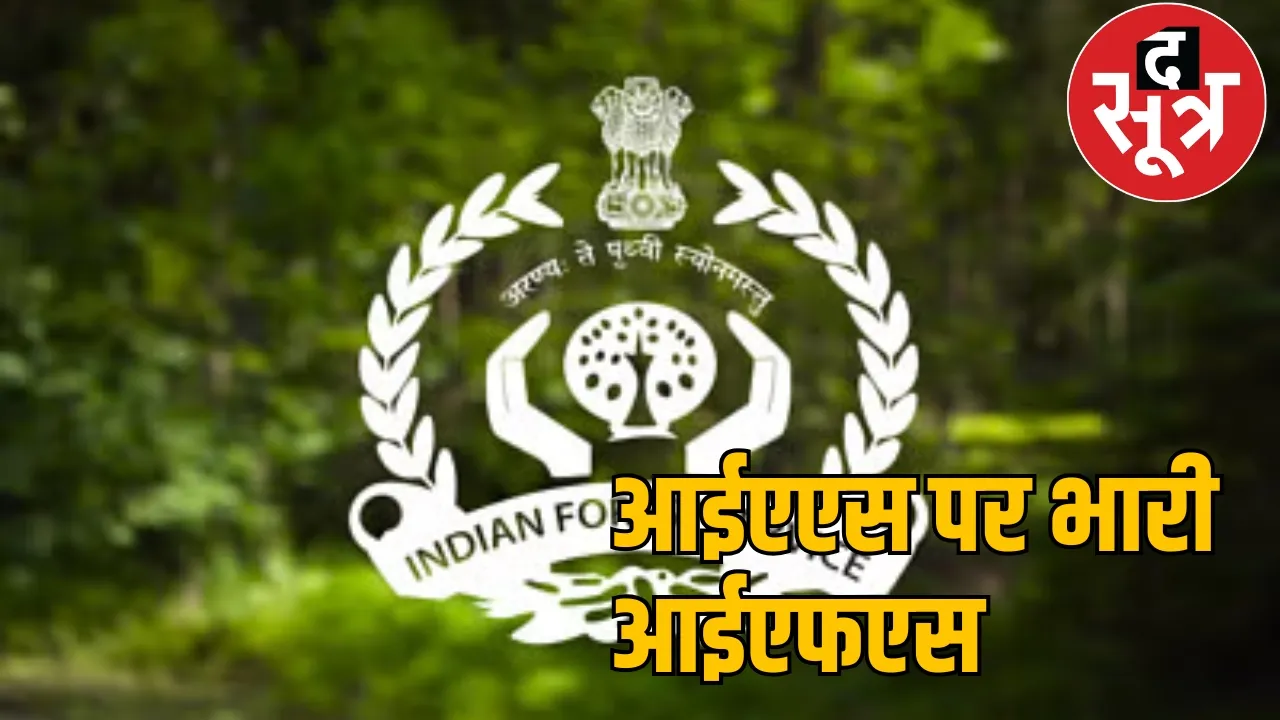 Chhattisgarh's top 10 IFS crorepatis, PCCF has more property than the chief secretary the sootr