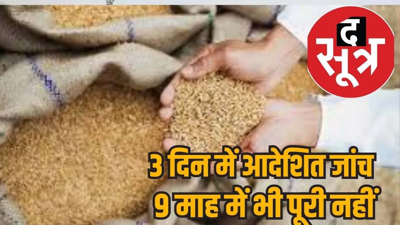 wheat scam