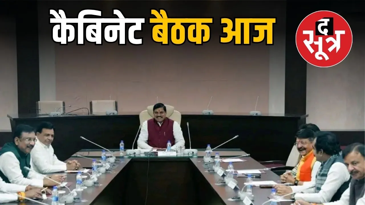 mohan-cabinet-elephant-management-policy-chhattisgarh-mp news