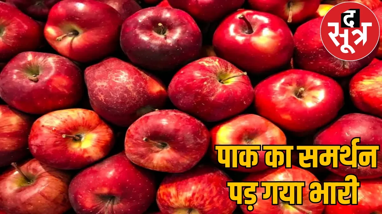 Turkey lose crores rupees supporting Pakistan Chhattisgarh not buy apples