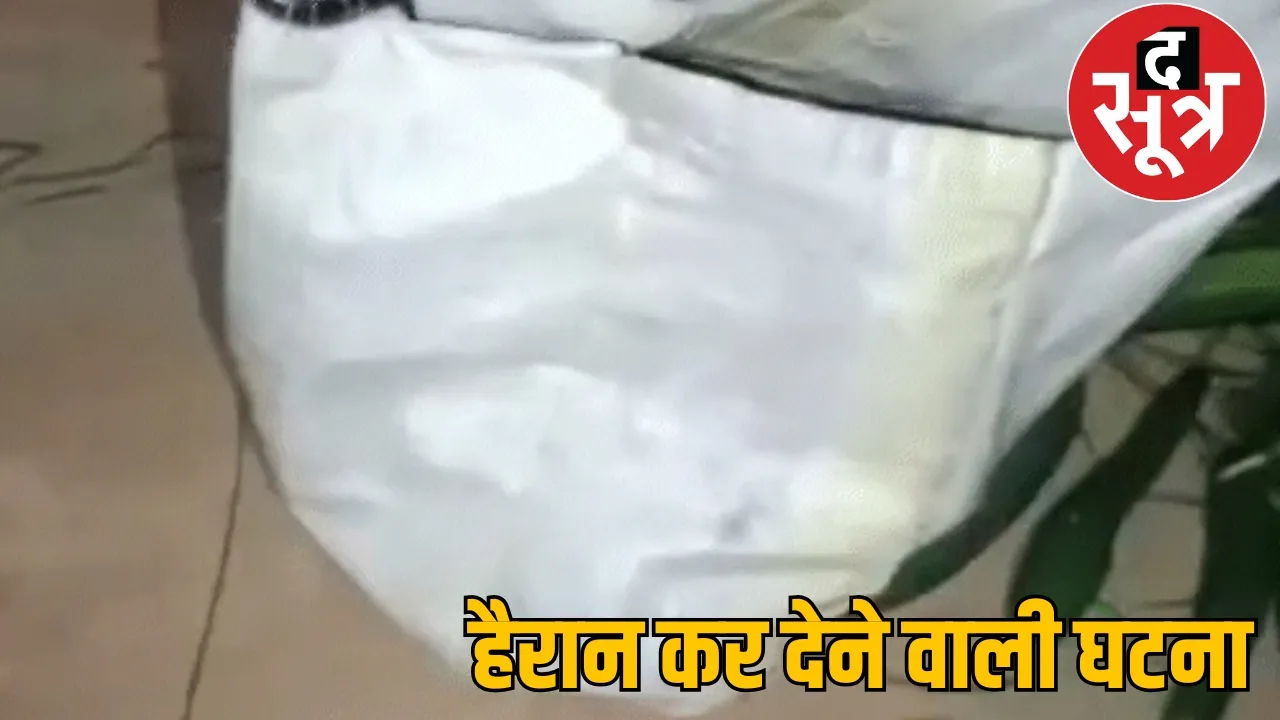 Husband brought vegetables wife ran away snak korba chattisgarh the sootr