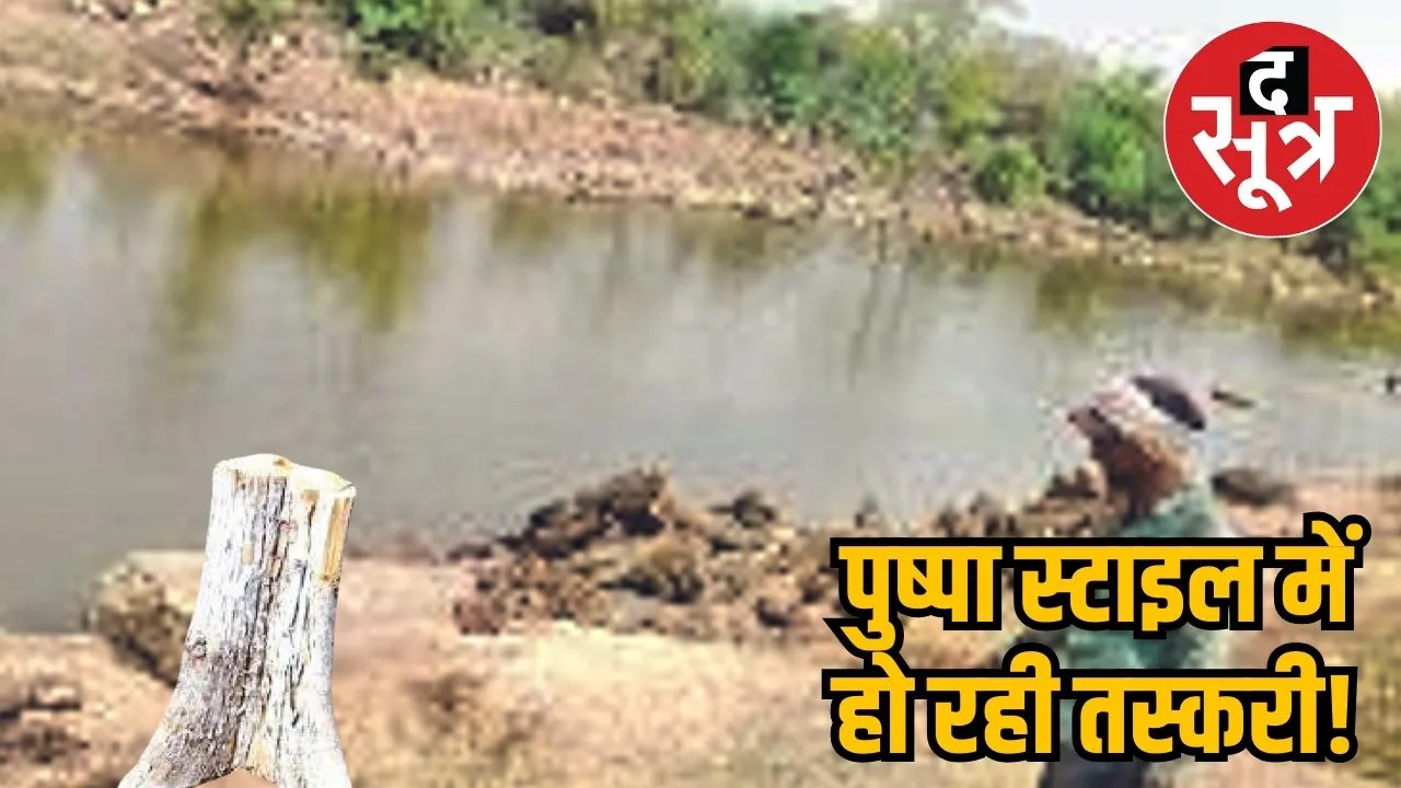 Khair wood smuggling in Gwaliior 