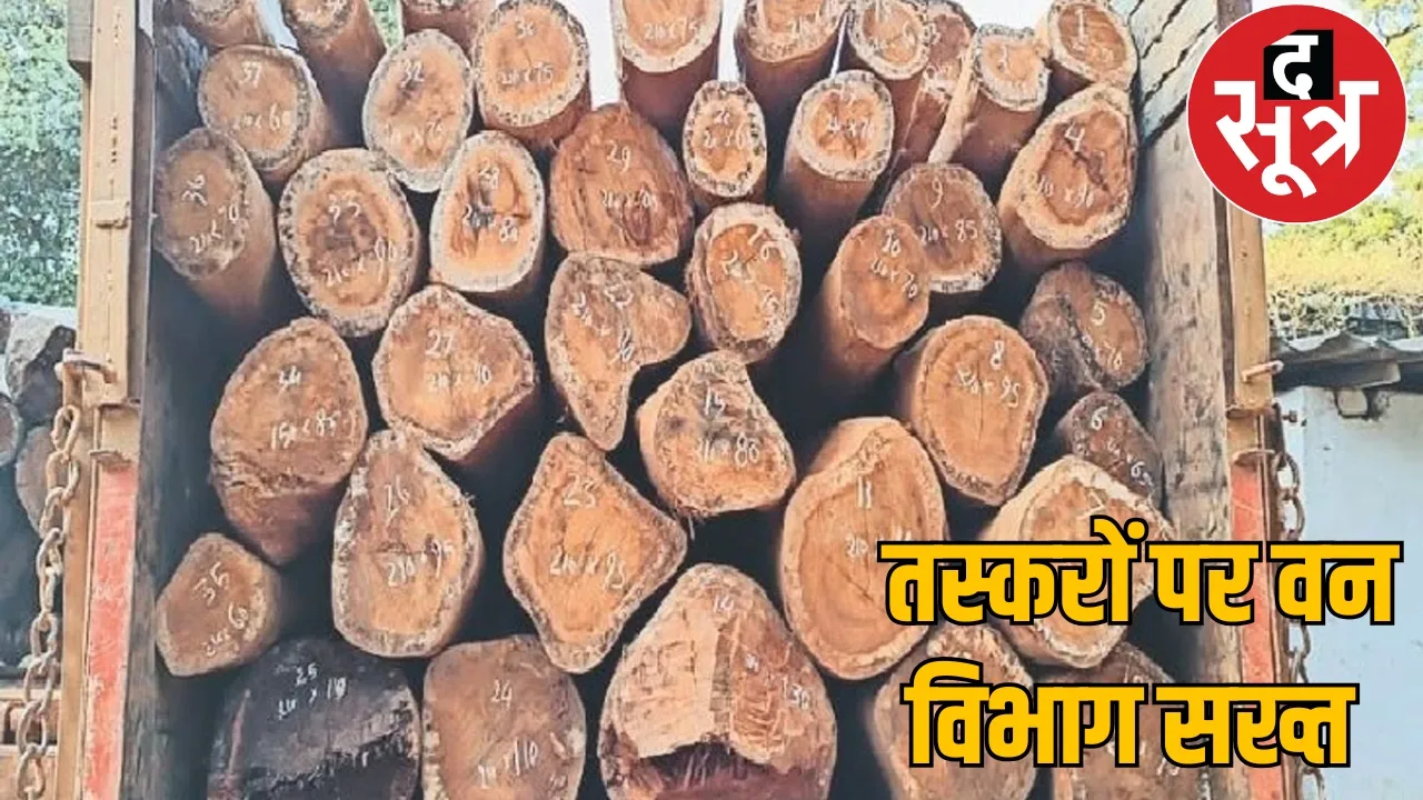 Forest department took strict action against illegal wood smuggling in Balrampur, truck and Hiva seized the sootr
