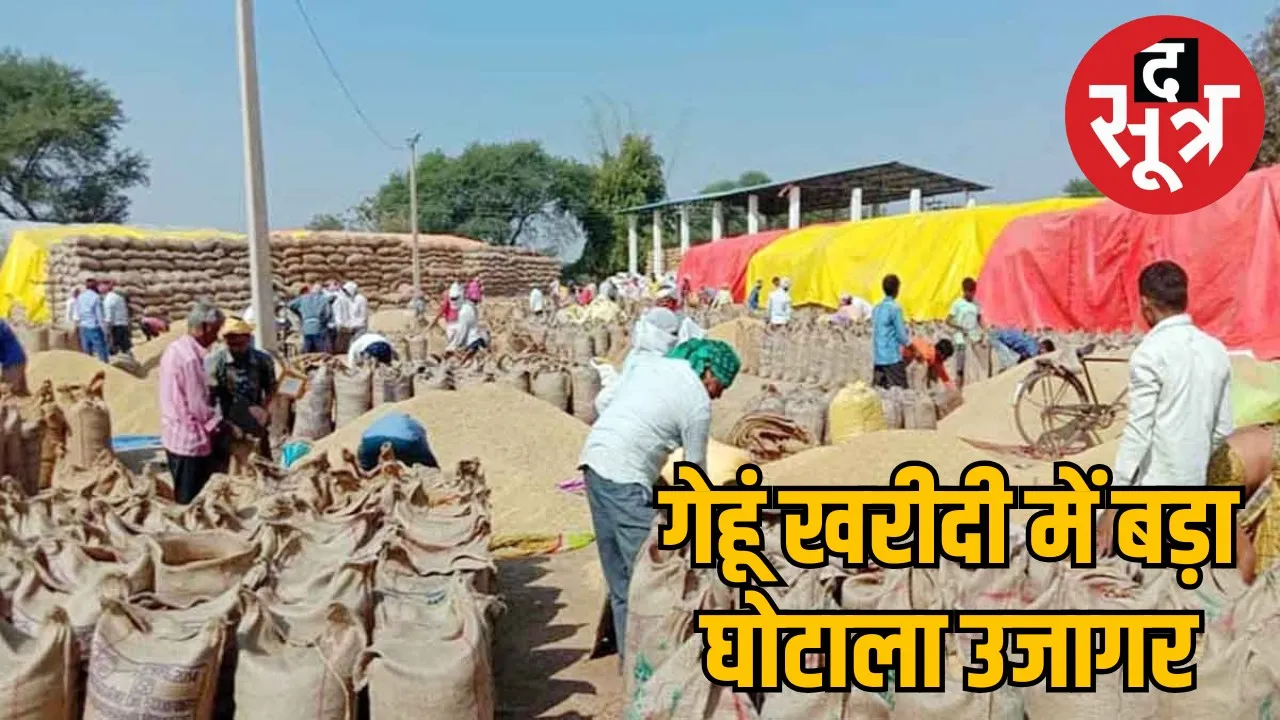 wheat-procurement-scam