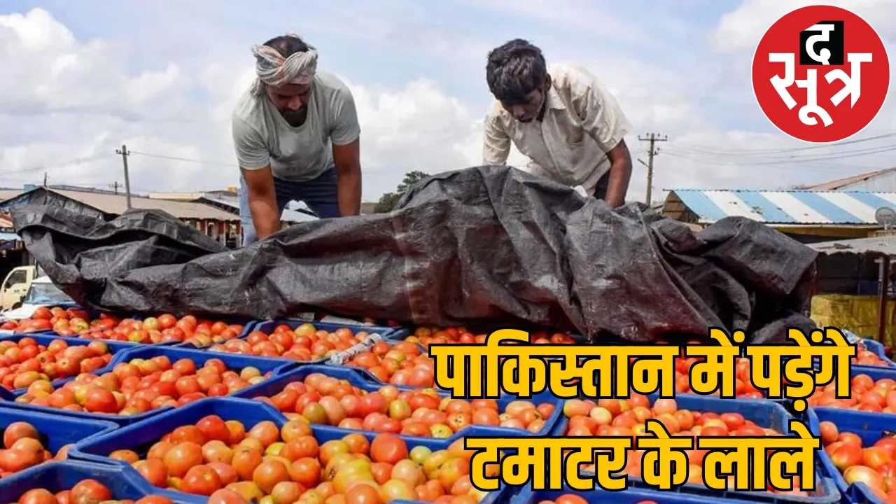 Pakistan crave for tomatoes Chhattisgarh farmers stopped sending